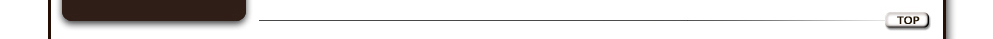 Text alternative when image is not available